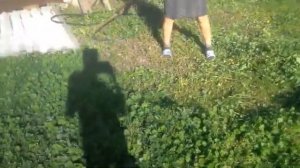 Как косить косой Деревня Сенокос. Ручная коса,   Хутор Черкесовский