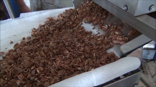 Орехокол промышленный для переработки пекана, грецкого ореха. фундука, арахиса смотреть онлайн