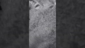 Куда пропали все цвета всё черно белое