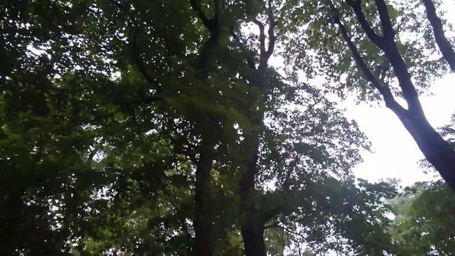 Минск фонтан у театра Янки Купалы