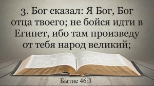 Лучшая Видео Библия. Чтение Бытие. Главы 45-46. Синодальный перевод