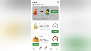 "ПТИЦЕВОД" 7 советов