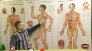 Секреты китайской медицины (2). Как пользоваться китайскими точками.