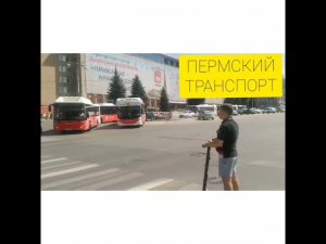 8 автобусов Перми 15.05.2021