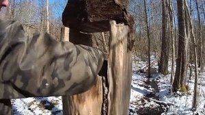 Соль для лосей и косуль. Заправляем солонцы для животных.Солонец для лося.
