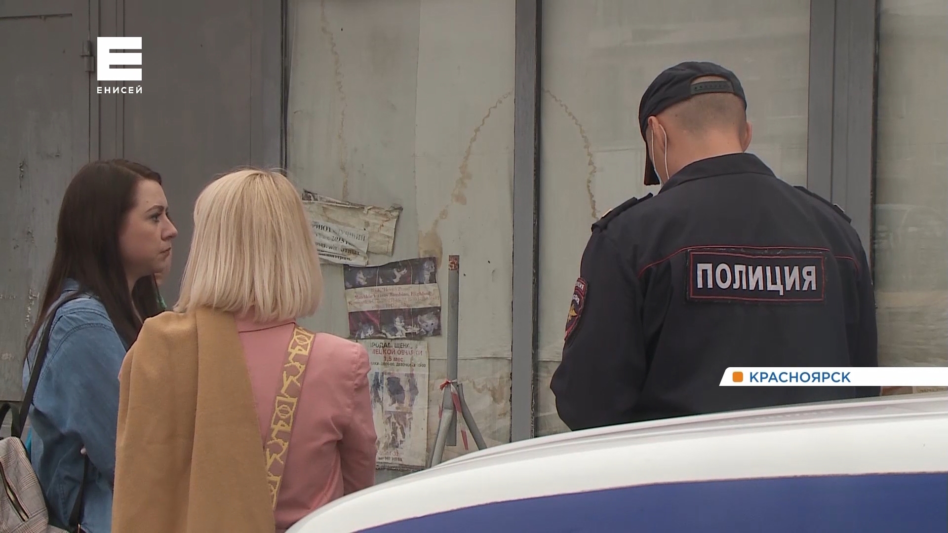 Зоозащитники обнаружили в центре Красноярска запертых в павильоне собак и кошек