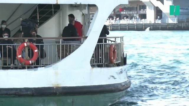 À Istanbul, ce chien errant est la star des transports en commun смотреть онлайн