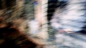 крутой кролятник