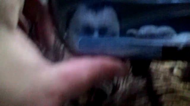 Видеорегистратор зеркало от леомакс часть 1