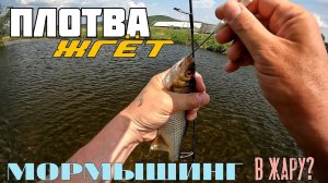 Мормышинг в жару? Отличнейший КЛЁВ плотвы