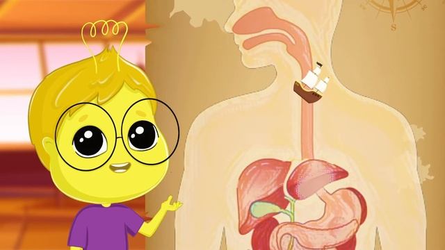 Как работает пищеварение. Развивающие мультики для детей и малышей