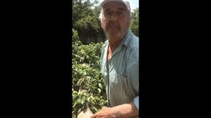 ДІД ТОЛЯ/ДІД ТА ОНУК/ЧАСТИНА 4/ТИ ГНИЛЯКА МОЛОДА