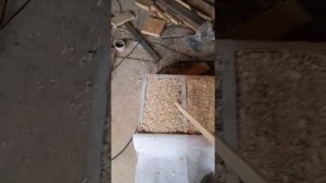 Эксперимент: оседают ли опилки с гипсом или нет? Часть 2.