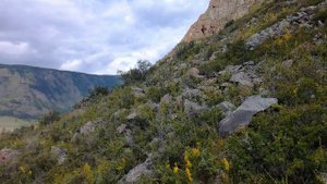 Наше маленькое покорение Алтайской горы...)))