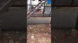 Запуск Зерносушильного комплекса на 25т/ч с ОЗФ 50