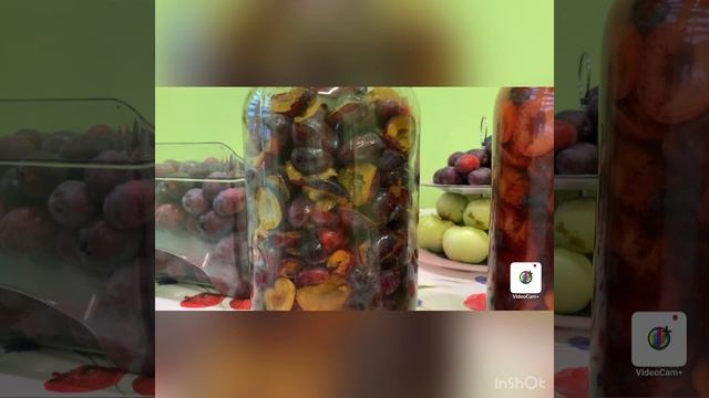 СЛИВОВКА,СЛИВЯНКА,НАСТОЙКА ИЗ МЕДОВЫХ СЛИВ С СОБСТВЕННОГО САДА.