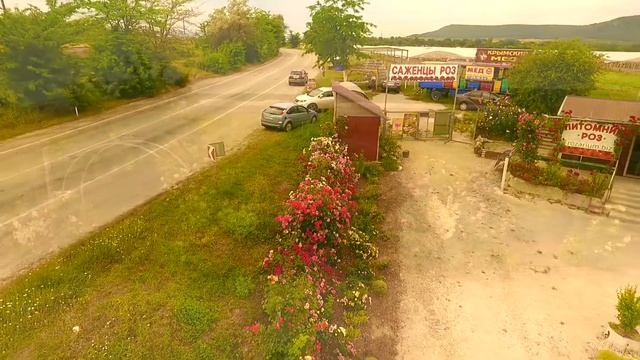 ПИТОМНИК РОЗ ПОЛИНЫ КОЗЛОВОЙ. КРЫМ. смотреть онлайн