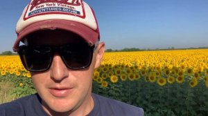 Датчик уровня масла Опель Вектра С