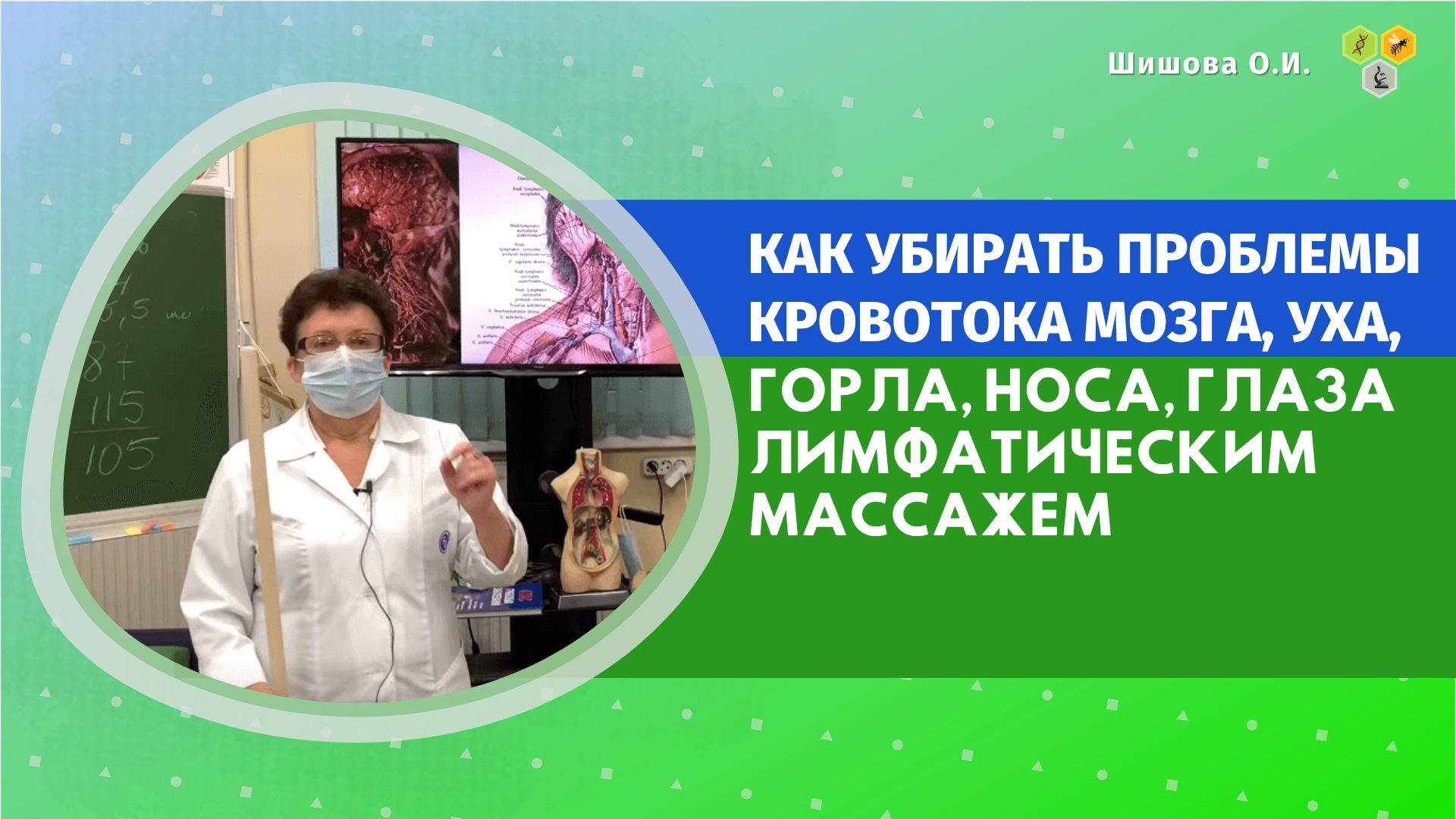 Целиус интернет магазин шишова каталог с ценами. Ольга Шишова лимфатический самомассаж ног. Ухо горло нос в Гудермесе.