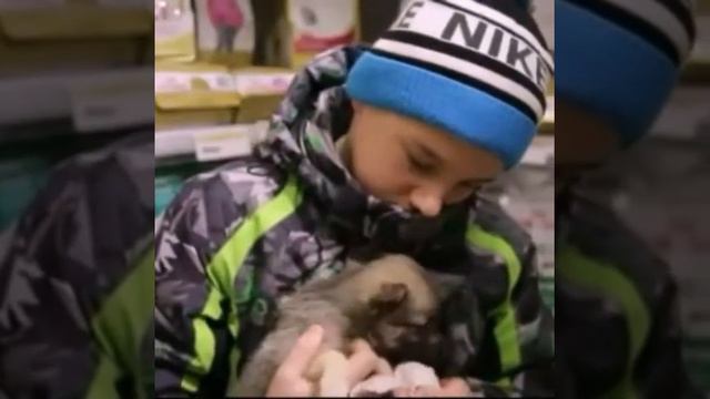 Мальчик купил щенка смотреть онлайн