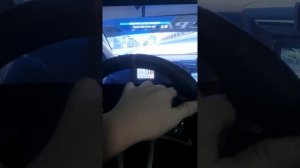 Hori Racing Wheel Settings Project Cars 2