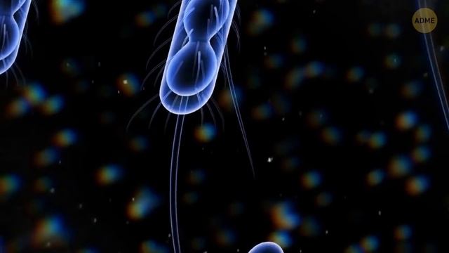 Важные функции бытовых предметов, которые мы упускали смотреть онлайн