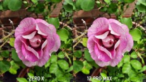 Infinix Zero X Vs iPhone 12 Pro Max Camera Test