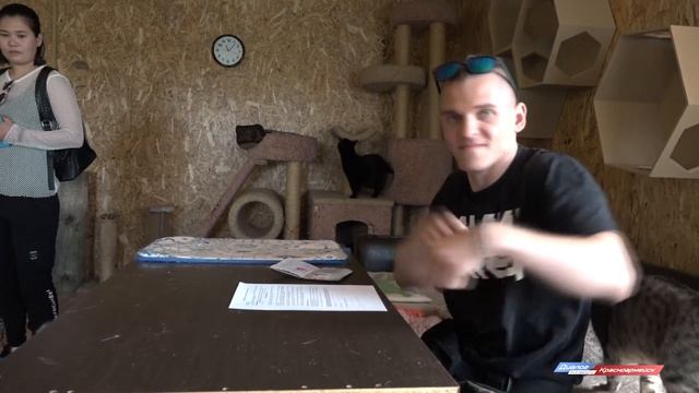 Как взять кошку или кота из приюта смотреть онлайн