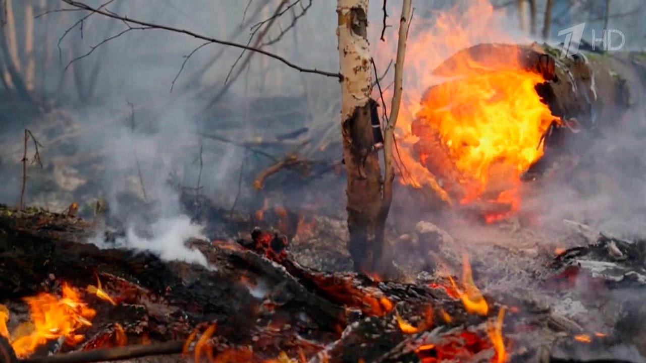 Сотни спасателей и сотрудников Авиалесоохраны привлечены к тушению лесных пожаров в Югре