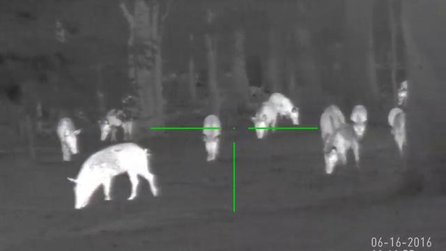 ATNX0012 смотреть онлайн