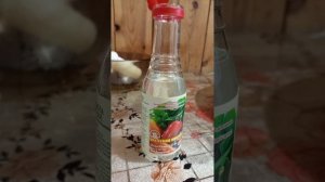 Очень вкусный и полезный горлодëр на зиму, который храниться несколько лет.