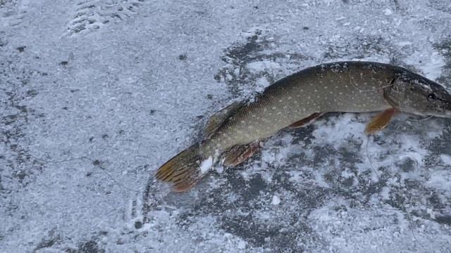 06-12-2023 смотреть онлайн