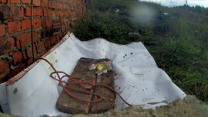 ГИРЯ ОТ  SlivkiShow ЧТО БУДЕТ ЕСЛИ СБРОСИТЬ ГИРЮ. ЛАЙФХАКА ОТ  TimOn ChaveS