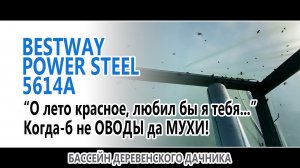 "О лето красное, любил бы я тебя...", когда-б не оводы да мухи в павильоне