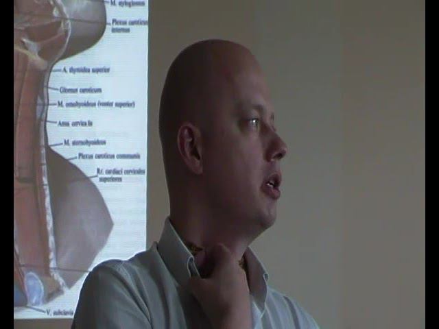 Семинар ВИСЦЕРАЛЬНАЯ ОСТЕОПАТИЯ 2 ВО2_04 смотреть онлайн