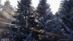 Волшебная музыка зимы!  Падал снегснег! Лучшие зимние песни!До слез красивая мелодия #Хорошая музык