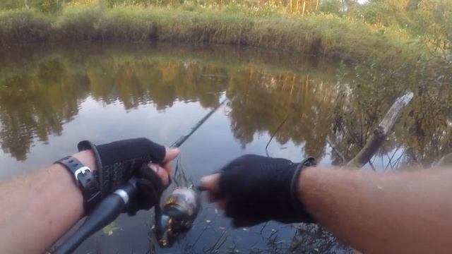 За ЩУКОЙ на МАЛУЮ РЕКУ!!! Ловля Щуки на спиннинг ЛЕТОМ!!! Рыбалка на малой реке в Калужской обл!!! смотреть онлайн