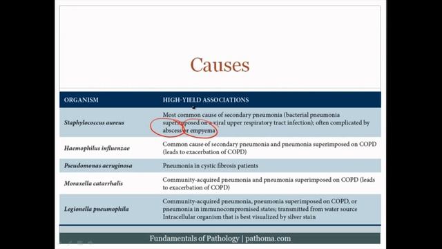 Pathoma USMLE - IX ГЛАВА - 2.Лёгочные инфекции