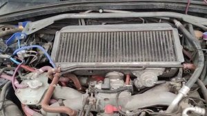 Мини-обзор ej255 с СЖ=9.3