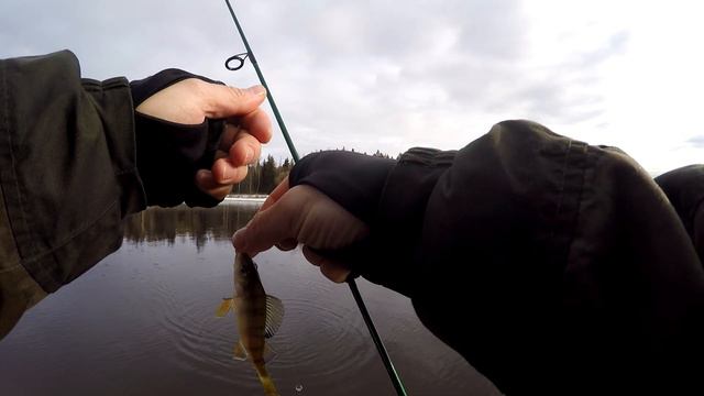 Мормышинг с Smith Fieldream FLD-59UL. смотреть онлайн