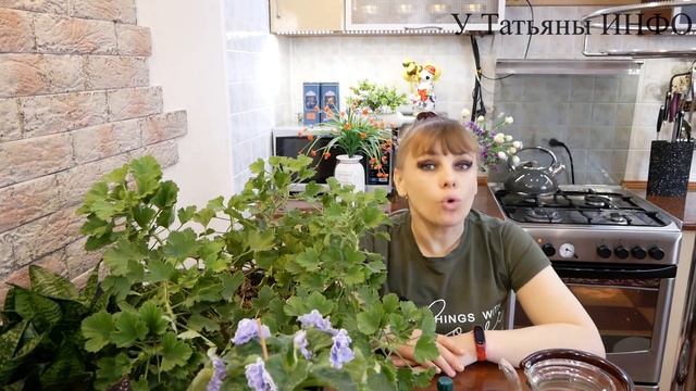 Для БЕШЕНОГО РОСТА Нашатырный Спирт для комнатных растений.