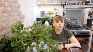 Для БЕШЕНОГО РОСТА Нашатырный Спирт для комнатных растений.