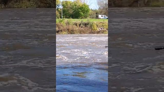 Франция г Кольмар смотреть онлайн