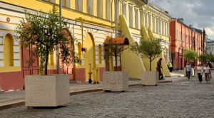 Ищем парковку. На Кожевенную привезли красивые деревья. Любуемся скульптурами. Н.Новгород.