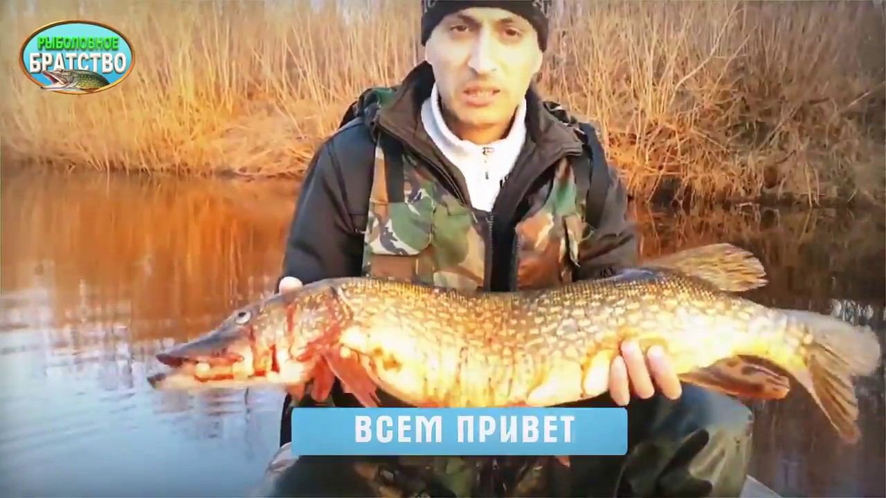 Друзья кому интересна рыбалка на севере, Добро пожаловать на  канал к моему другу Александру Устаеву