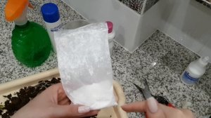 Фузариоз у орхидеи! Как и чем лечить? Как определить фузариоз у орхидеи?