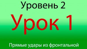 Урок 1, Уровень 2, прямые удары из фронтальной стойки, с 3-я шагами в перед и назад.