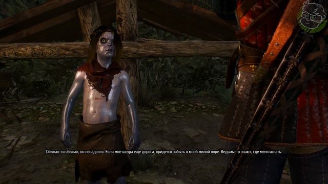 НЕОЖИДАННЫЙ КОНЕЦ (The Witcher 3: Wild Hunt) #33 смотреть онлайн