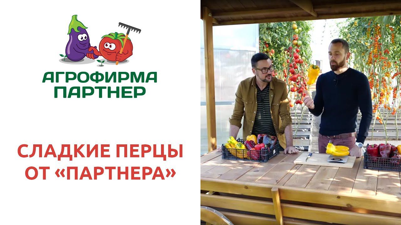 СЛАДКИЕ ПЕРЦЫ ОТ 