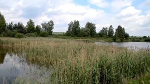 Егорьевский рыбхоз.